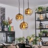 Ripoll Pendellampa, kullampa, Pendellampa Cluster Guld, Klart, 3-ljuskällor