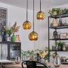 Ripoll Pendellampa, kullampa, Pendellampa Cluster Guld, 3-ljuskällor