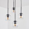 Koyoto Pendellampa, kullampa, Pendellampa Cluster Klart, 4-ljuskällor