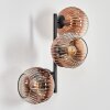 Ripoll kullampa, Vägglampa Klart, Kopparfärg, 3-ljuskällor