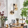 Gastor kullampa, Vägglampa Amber, Klart, 3-ljuskällor