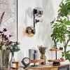 Gastor kullampa, Vägglampa Amber, Klart, Rökfärger, 3-ljuskällor