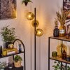Ripoll Golvlampa Guld, Klart, 3-ljuskällor