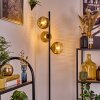 Ripoll Golvlampa Guld, Klart, 3-ljuskällor