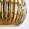 Ripoll Pendellampa, kullampa, Pendellampa Cluster Guld, 3-ljuskällor