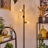 Ripoll Golvlampa Klart, 3-ljuskällor