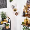 Ripoll Golvlampa Guld, Klart, Kopparfärg, Rökfärger, 3-ljuskällor