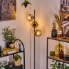 Ripoll Golvlampa Guld, Klart, Kopparfärg, Rökfärger, 3-ljuskällor