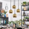 Koyoto Pendellampa, kullampa, Pendellampa Cluster Guld, 4-ljuskällor