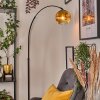 Ripoll Golvlampa Svart, 1-ljuskällor