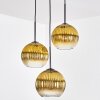Koyoto Pendellampa, kullampa, Pendellampa Cluster 30 cm Guld, Klart, 3-ljuskällor