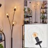 Ripoll kullampa, Golvlampa Klart, 3-ljuskällor