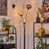 Ripoll kullampa, Golvlampa Amber, Klart, Rökfärger, 3-ljuskällor