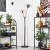 Ripoll kullampa, Golvlampa Amber, Klart, Rökfärger, 3-ljuskällor