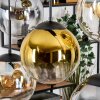 Gastor Pendellampa, kullampa, Pendelbelysning Amber, Guld, Klart, Rökfärger, 6-ljuskällor