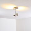 Florenz Taklampa LED Krom, 2-ljuskällor