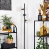 Ripoll Golvlampa Klart, 3-ljuskällor