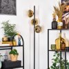 Ripoll Golvlampa Guld, Klart, 3-ljuskällor