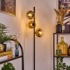 Ripoll Golvlampa Guld, Klart, 3-ljuskällor