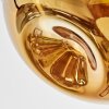 Ripoll Taklampa, kullampa Krom, Guld, Kopparfärg, Rökfärger, 3-ljuskällor