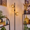 Ripoll Golvlampa Amber, Klart, 3-ljuskällor