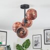 Ripoll Taklampa, kullampa Kopparfärg, 4-ljuskällor