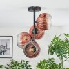 Ripoll Taklampa, kullampa Klart, Kopparfärg, 4-ljuskällor