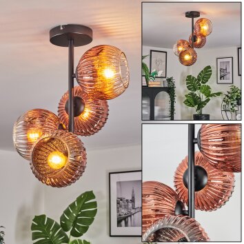 Ripoll Taklampa, kullampa Klart, Kopparfärg, 4-ljuskällor
