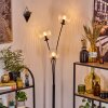 Koyoto kullampa, Golvlampa Klart, 3-ljuskällor