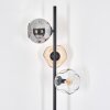 Ripoll Golvlampa Amber, Klart, Rökfärger, 3-ljuskällor
