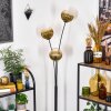Koyoto kullampa, Golvlampa Guld, Klart, 3-ljuskällor