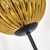 Koyoto kullampa, Golvlampa Guld, Klart, 3-ljuskällor