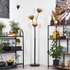 Koyoto kullampa, Golvlampa Guld, Klart, 3-ljuskällor