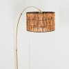Cando Golvlampa Mässing, Svart, 1-ljuskällor