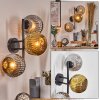 Ripoll kullampa, Vägglampa Krom, Guld, Rökfärger, 3-ljuskällor