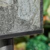 Tieva gångvägslampa Svart, Silver, 1-ljuskällor