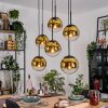 Gastor Pendellampa, kullampa, Pendelbelysning Guld, Klart, 6-ljuskällor