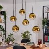 Gastor Pendellampa, kullampa, Pendelbelysning Guld, Klart, 6-ljuskällor