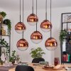 Gastor Pendellampa, kullampa, Pendelbelysning Klart, Kopparfärg, 6-ljuskällor