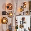 Koyoto kullampa, Vägglampa Guld, Klart, Kopparfärg, Rökfärger, 3-ljuskällor