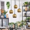 Ripoll Pendellampa, kullampa, Pendellampa Cluster Guld, 4-ljuskällor
