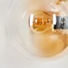 Gastor kullampa, Vägglampa Guld, Svart, 3-ljuskällor