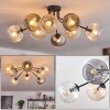 Koyoto Taklampa, kullampa Amber, Klart, Rökfärger, 8-ljuskällor