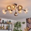 Koyoto Taklampa, kullampa Amber, Klart, Rökfärger, 8-ljuskällor