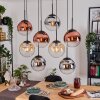 Gastor Pendellampa, kullampa, Pendelbelysning Amber, Krom, Klart, Kopparfärg, Rökfärger, 8-ljuskällor