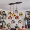 Gastor Pendellampa, kullampa, Pendelbelysning Krom, Guld, Klart, Kopparfärg, Rökfärger, 8-ljuskällor