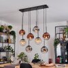 Gastor Pendellampa, kullampa, Pendelbelysning Amber, Krom, Klart, Kopparfärg, Rökfärger, 8-ljuskällor