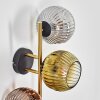 Ripoll kullampa, Vägglampa Guld, Svart, 3-ljuskällor