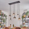 Koyoto Pendellampa, kullampa, Pendelbelysning Amber, Klart, Rökfärger, 6-ljuskällor