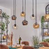 Ripoll Pendellampa, kullampa, Pendelbelysning Amber, Klart, Rökfärger, 6-ljuskällor